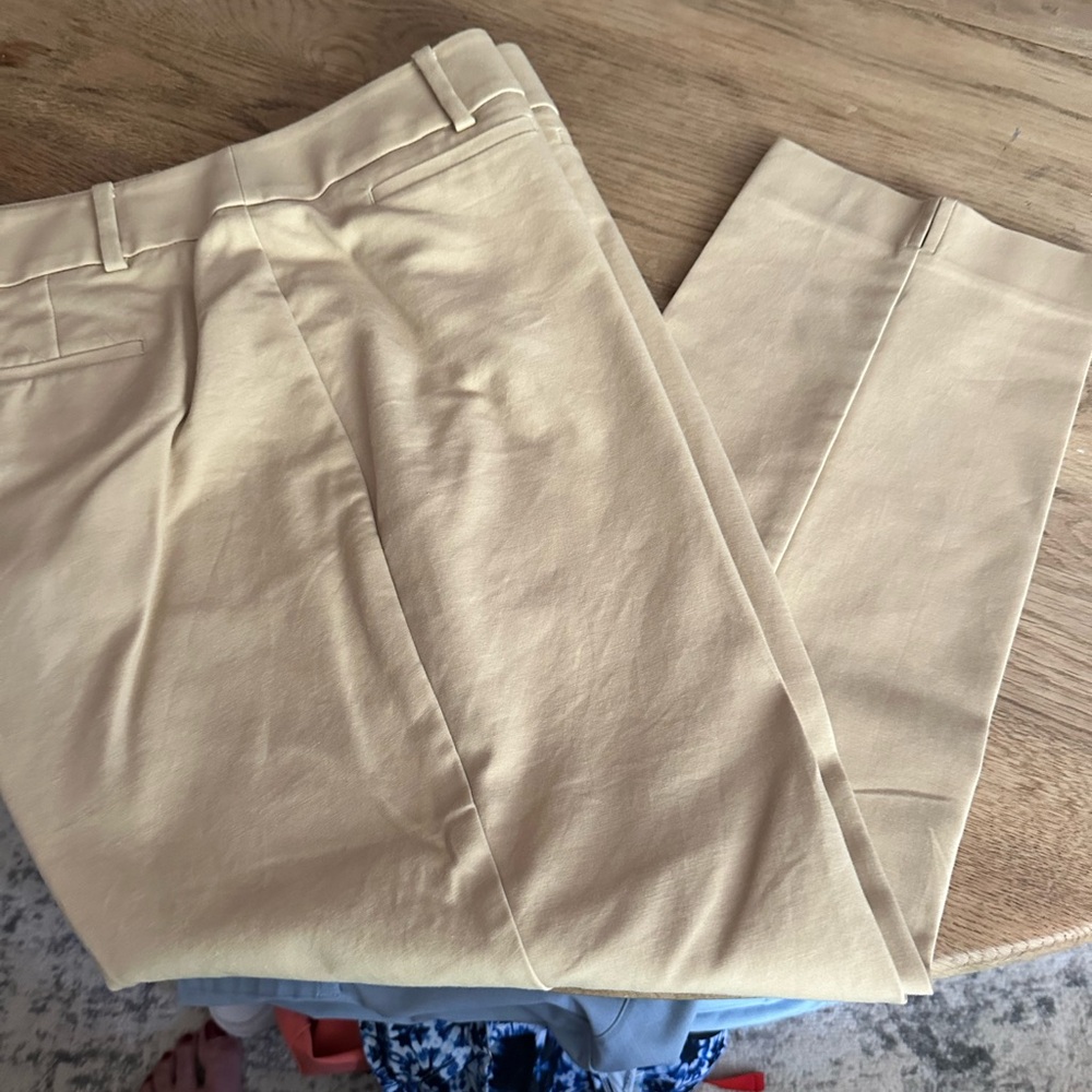 Ann Taylor LOFT Beige Ankle Julie Dress Pants 14R